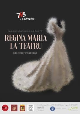 Vizite ghidate la Muzeu